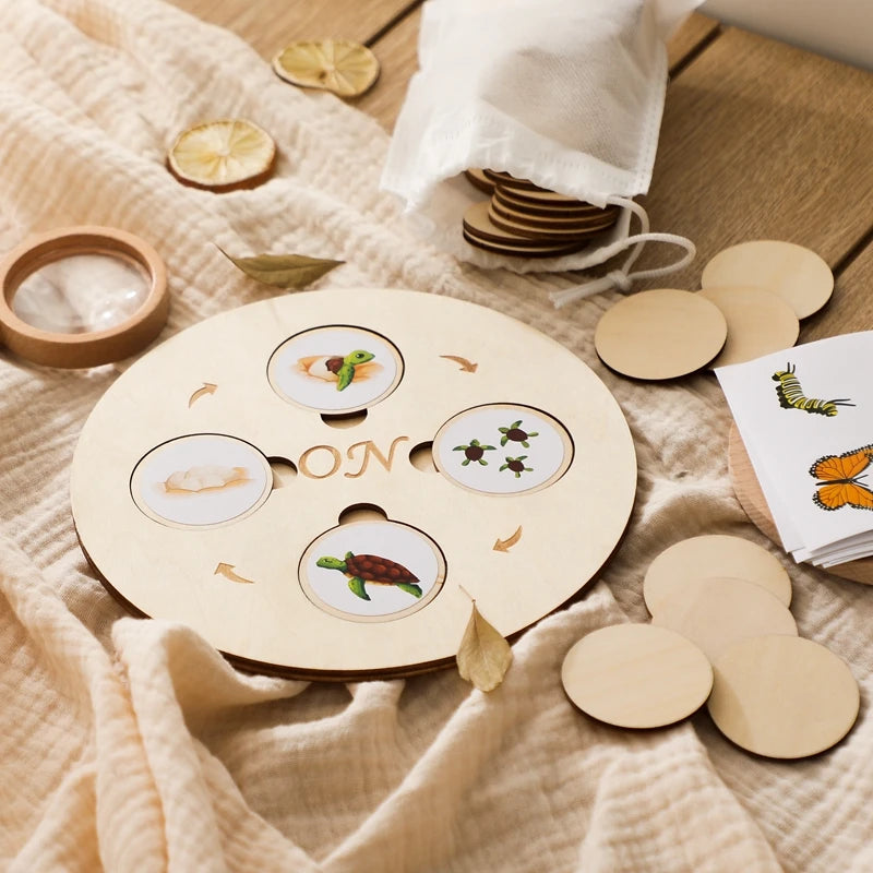 3D Wooden Puzzle Montessori Colorful Puzzle Life Cycle Puzzle Kit Match For Children Training Cognitive Educational Learn Gifts