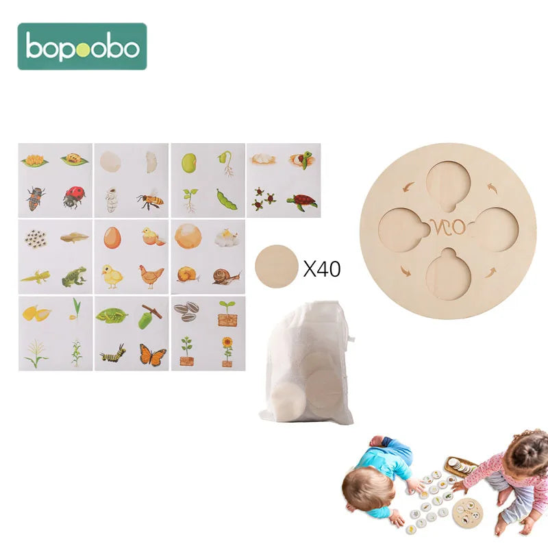 3D Wooden Puzzle Montessori Colorful Puzzle Life Cycle Puzzle Kit Match For Children Training Cognitive Educational Learn Gifts